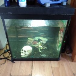 Fish Tank And Filter