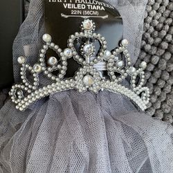 Halloween Gray Veiled Tiara