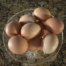 Organic Free-Range Chicken Eggs