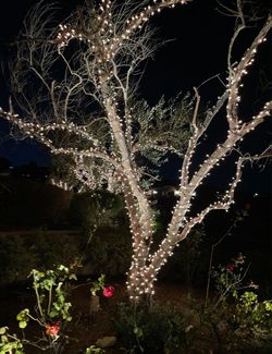 Christmas lights