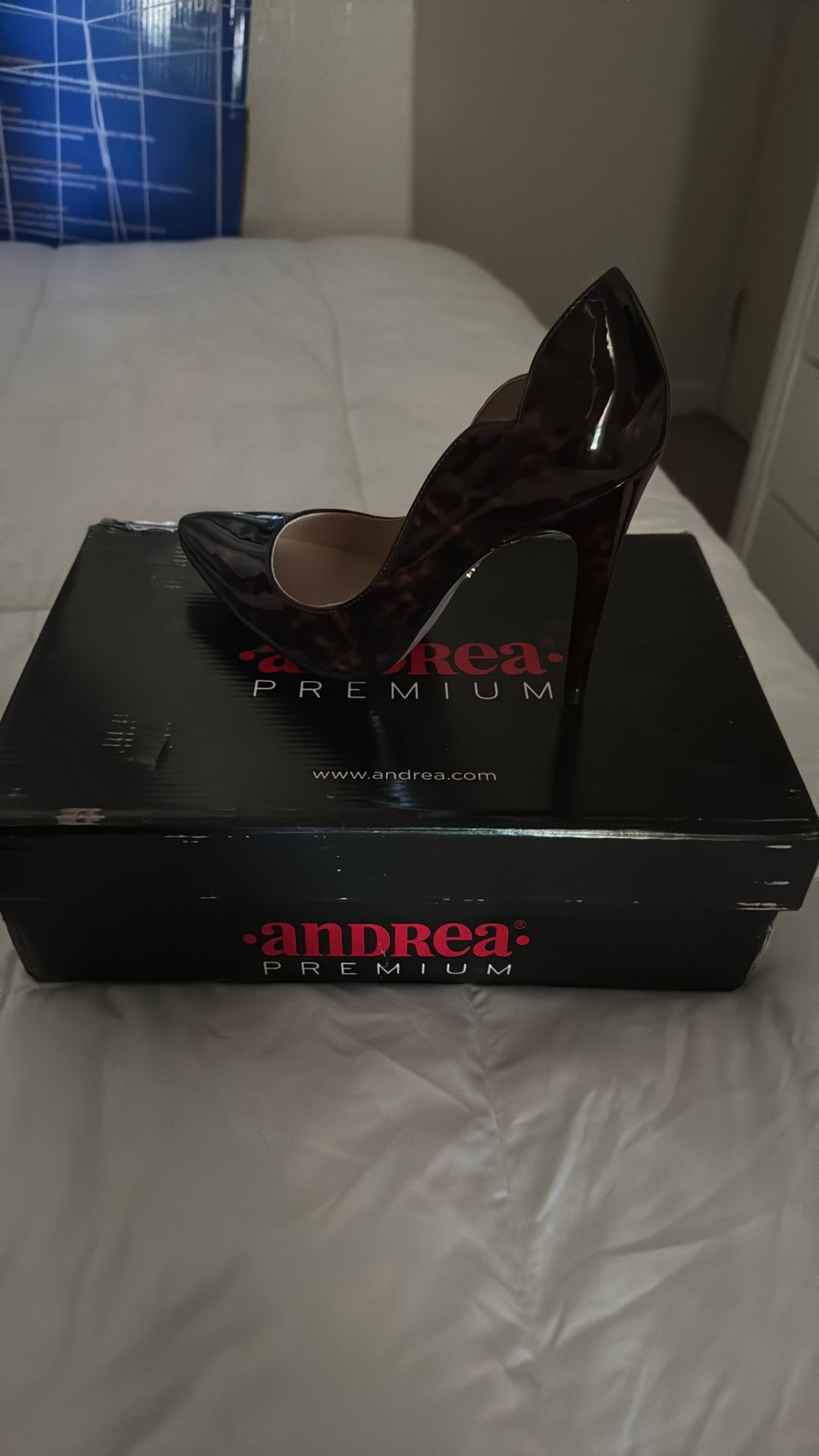 Zapatillas