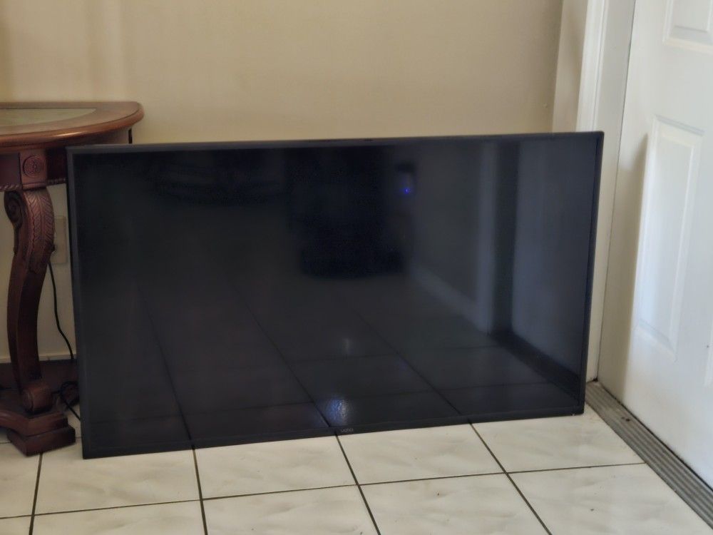 Vizio 55 Inch T. V. Model #: V555-J01