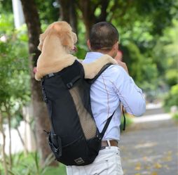 TWO Dog Backpack Carriers