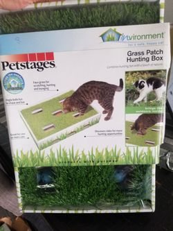 Grass Patch Hunting Box For Cats