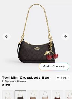 Teri mini coach
