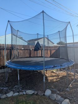 Trampoline