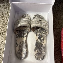 Dior Dway Slides