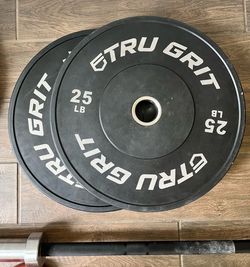 25lb bumper plates x2