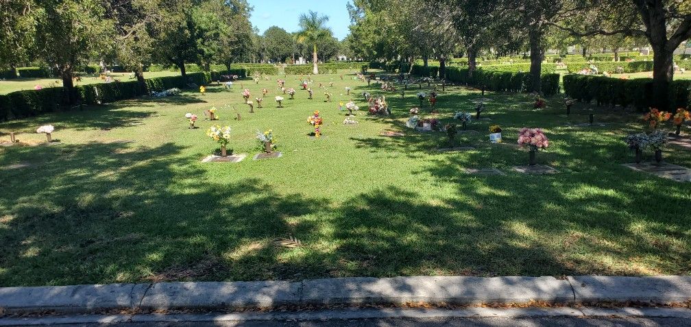 2 Lots W/ 2 Open-close