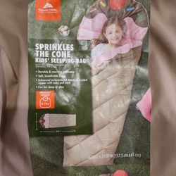 Sleeping Bag 