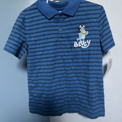 Brand New T-shirt For Boys  Size 5T, Pick Up Near tully And MOnterey Rd 