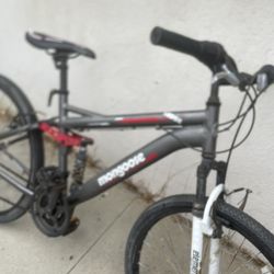 Mountain Bicycle 