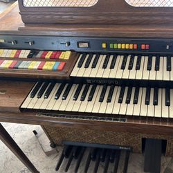 Organ