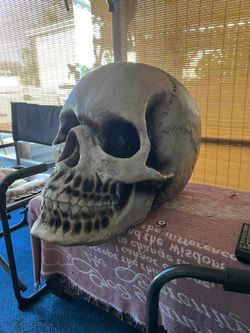 Animated Large Skull