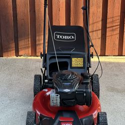 Toro GTS (rwd) Self Propelled Lawn Mower