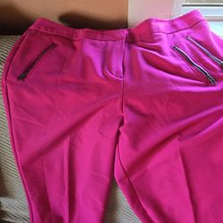 Womans Dress Pants Sz 10