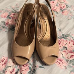 Cream Color 