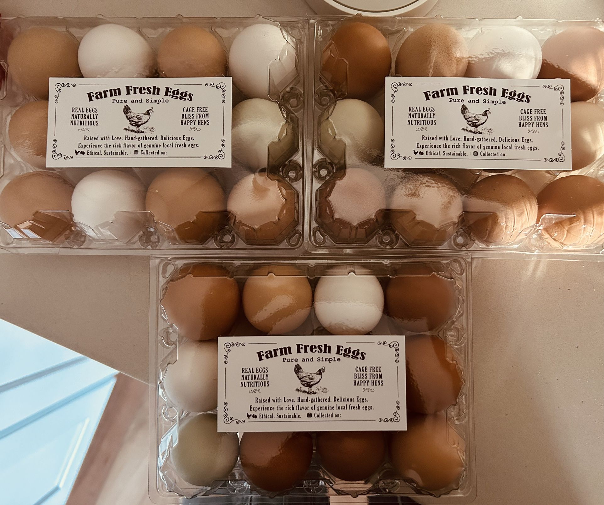 Organic Free Range Eggs