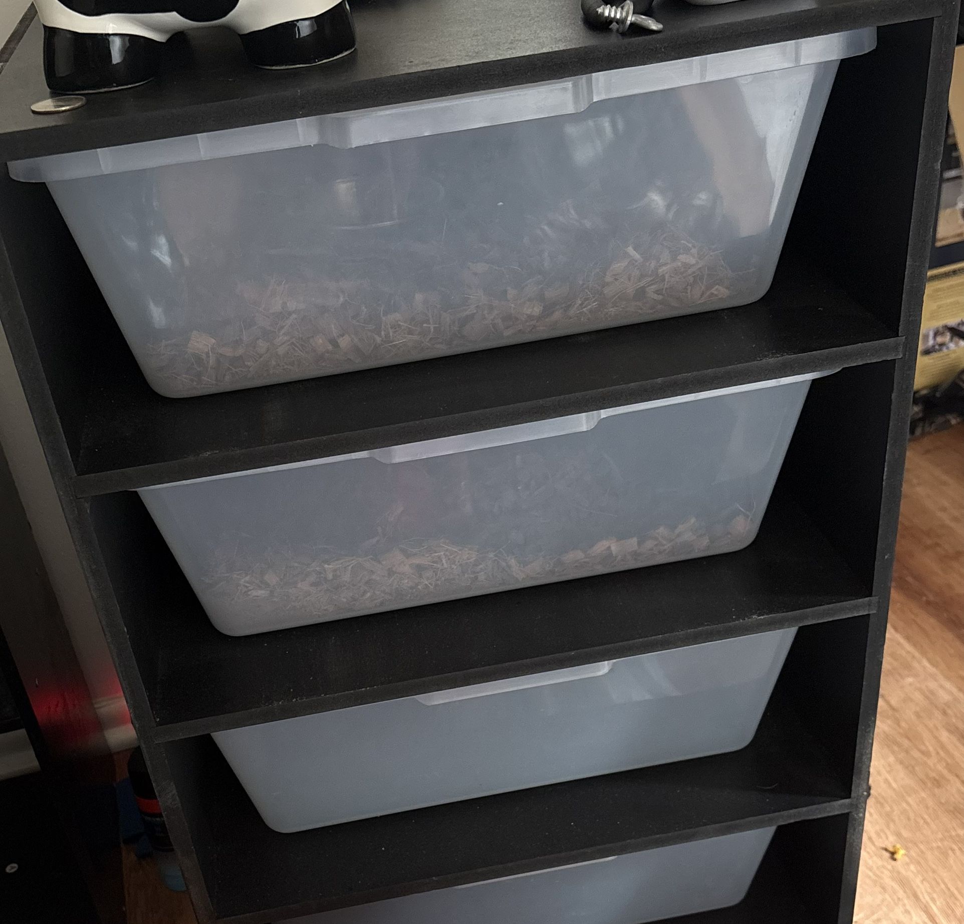 Snake Rack