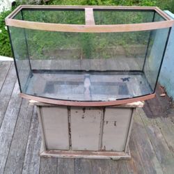 Large Curved  Fish Tank--O.B.O