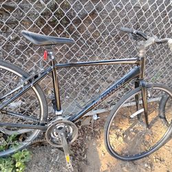 Giant Escape Hybrid Bike