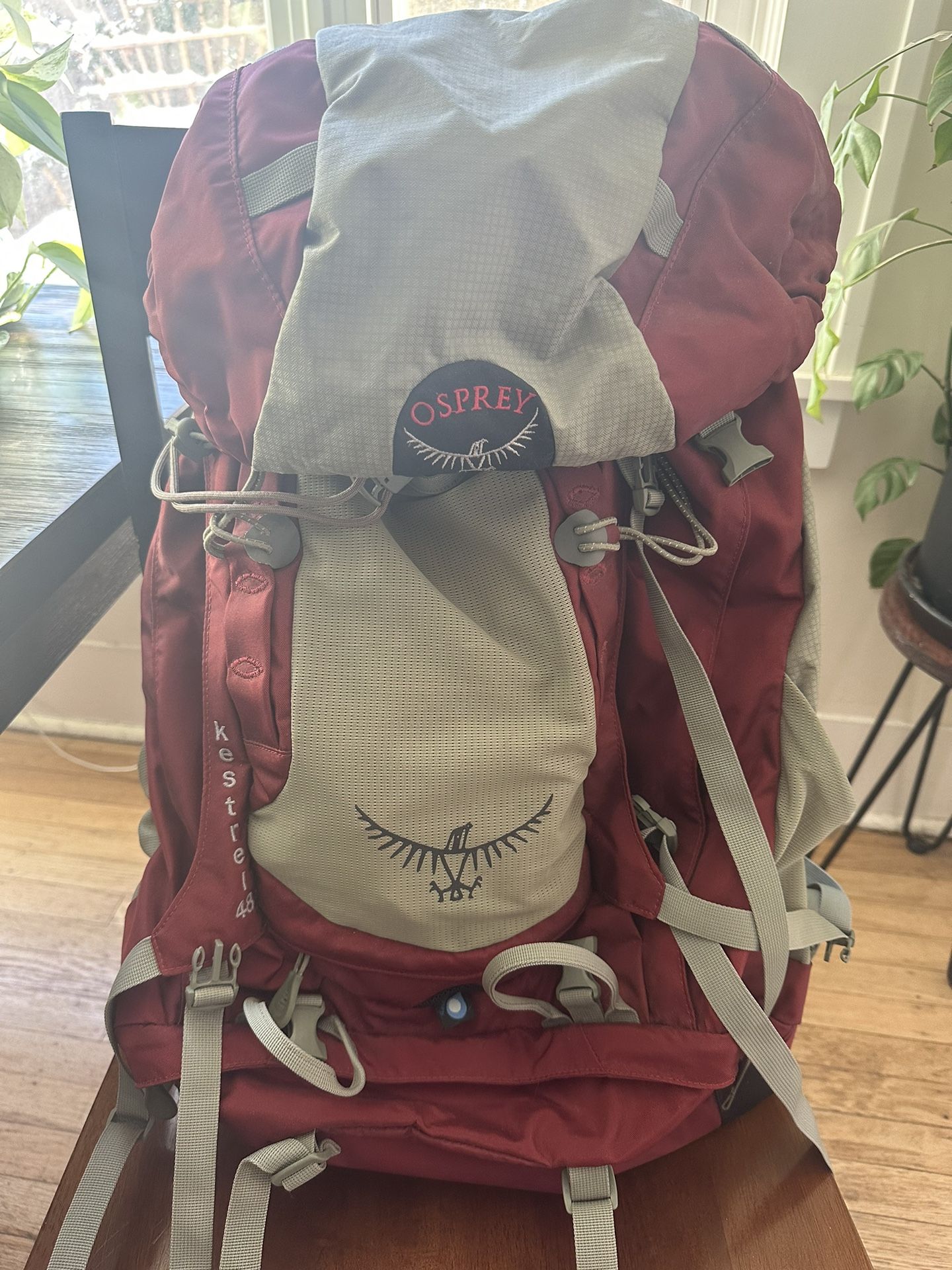 Osprey Kestrel 48 Backpack