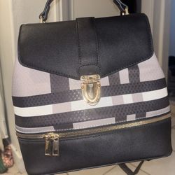 Purse Backpack