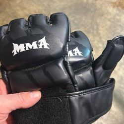 Mma Practice Gloves