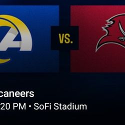 Rams Vs Bucs @Sofi 11.23.25 ***$400***