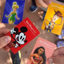 Experience Disney World In Christmas Park Hopper & Universal Studio Epic Park