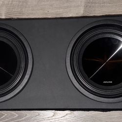 Alpine Sound System Subwoofer 