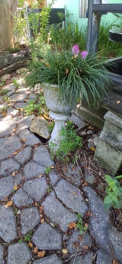 Ornamental stone stand/ pot