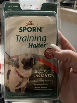 Training harness