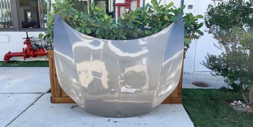 Ferrari 458 hood