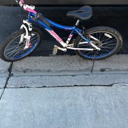 Genesis 24 Bike 