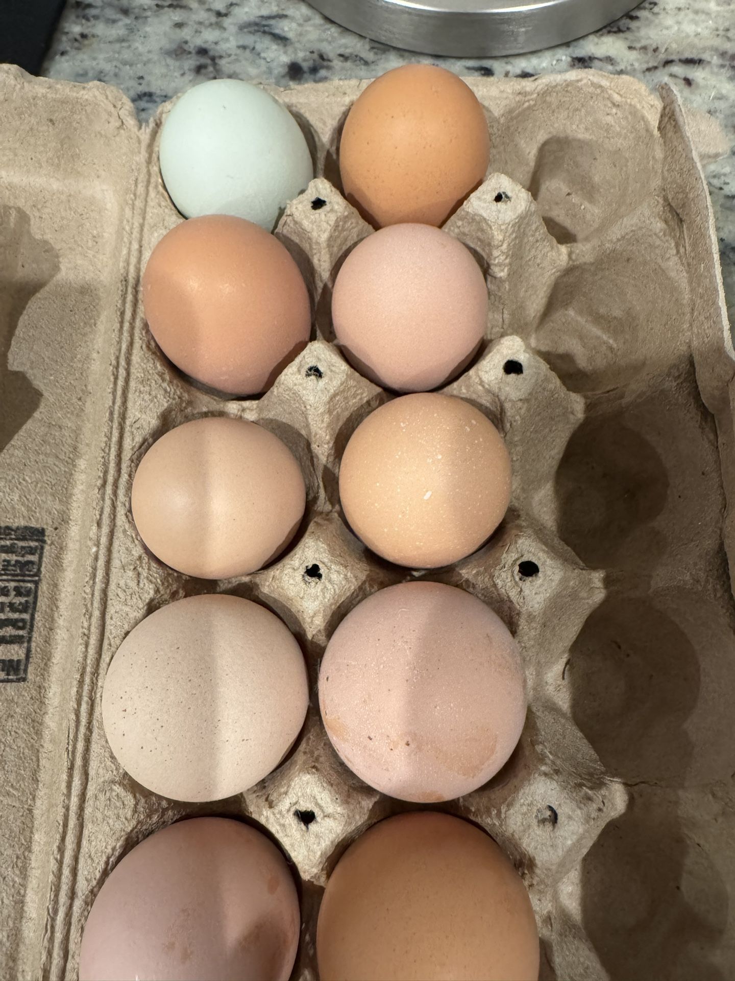 Hatching Eggs Available
