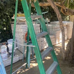 2 Werner 6ft Fiberglass Ladders