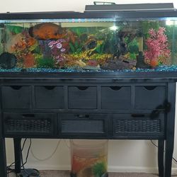 Fish Aquarium And Stand