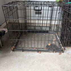 Medium Dog Kennel