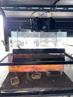 Reptile enclosure