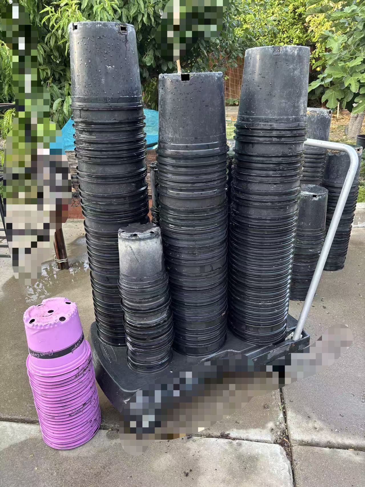 1 Gallon, 1.5 Gallons, 2 Gallons Plant Pots.