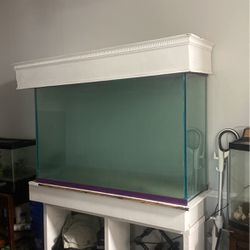 175 Gallon Tall Glass Aquarium Fish Tank for Sale in San Antonio, TX -  OfferUp
