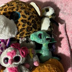 Stuffed Animals