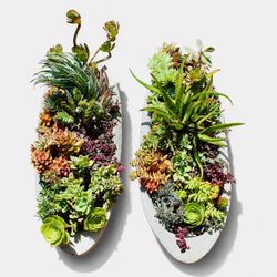 A pair of long and shallow cement planters with succulent arrangement