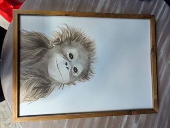 All these pictures with frames for $50