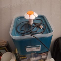 Electric Pet Water Bowl 