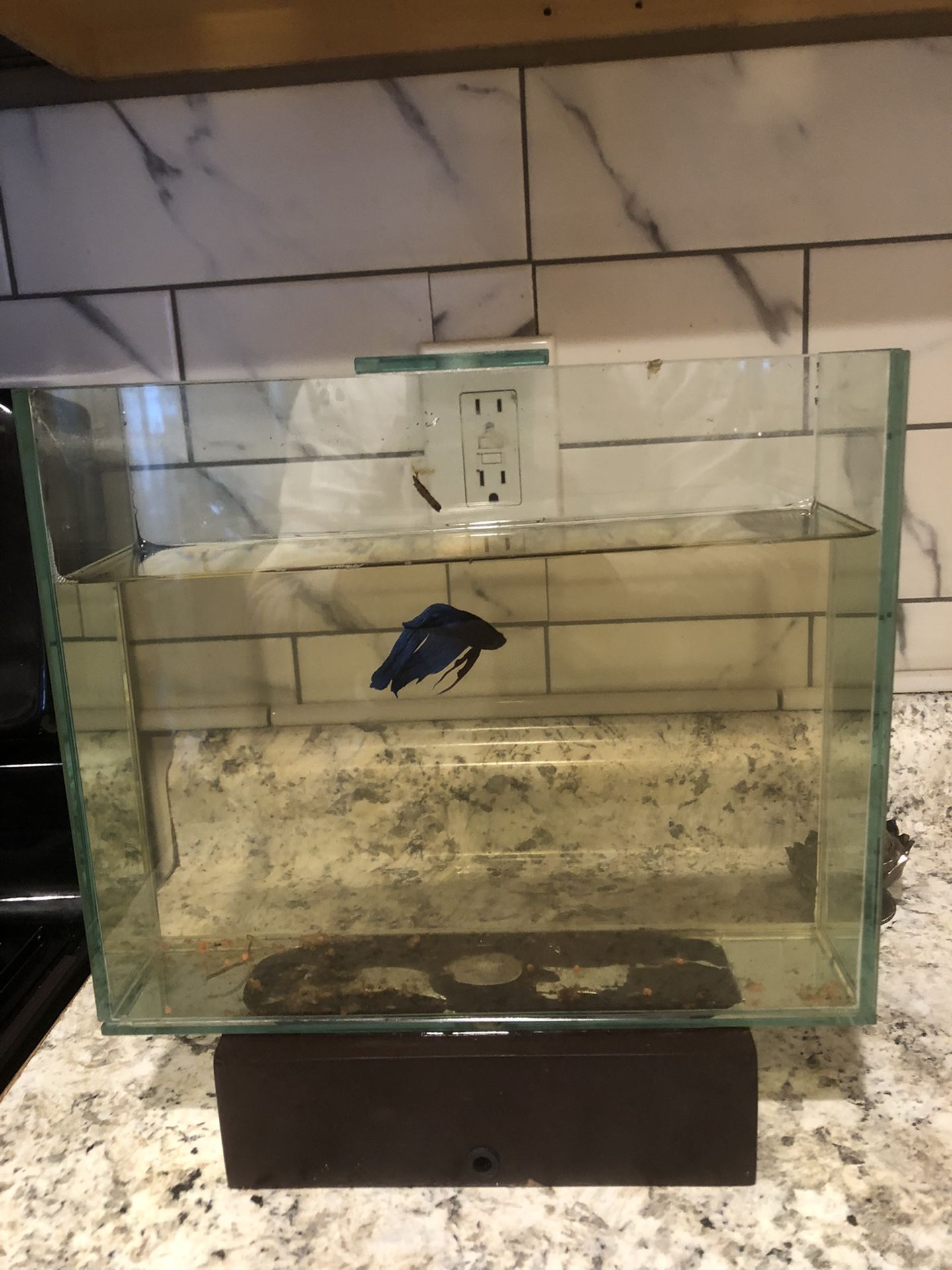 Bettas Fish Tank Custommer Built 