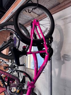 Weeride CoPilot Kids Bike Pink