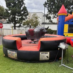 Renta de Toro Mecanco 