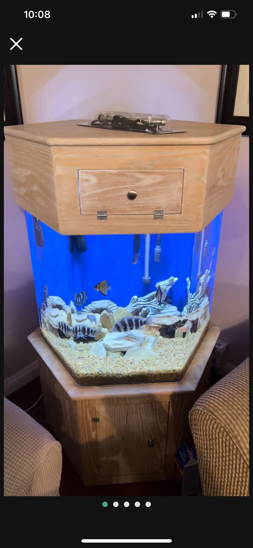 55 Gallon Hexagon Tank With Canopy And Stand